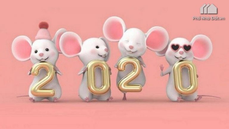 Sinh năm 2020 tuổi con gì ? Mệnh Gì ? Hợp Với Màu Gì ?