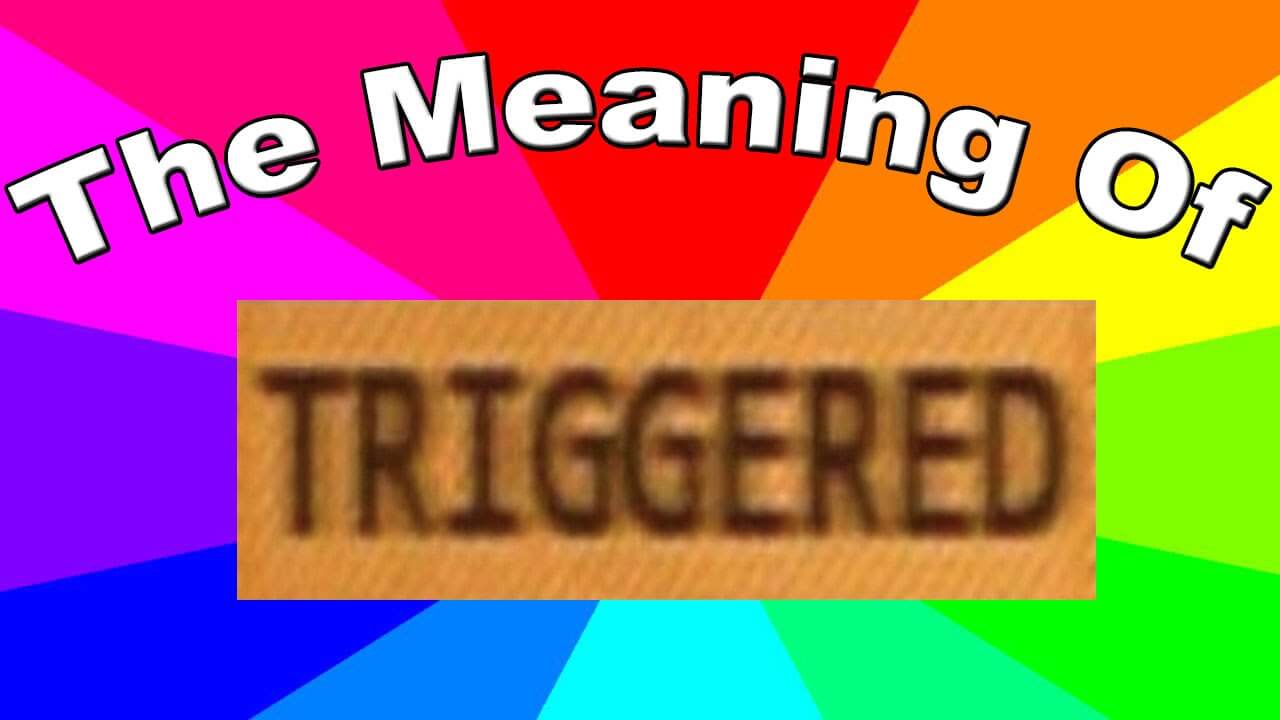 Triggered là gì ? Triggered meme là gì?