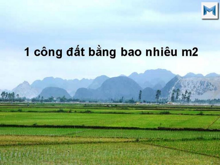 Công là gì ? 1 công đất bằng bao nhiêu m2, ha và Mẫu #2020