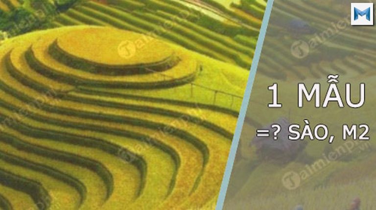 Mẫu là gì ? 1 Mẫu bằng bao nhiêu m2, sào ? #2020