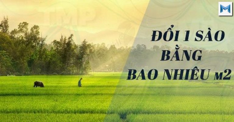 Sào là gì ? 1 sào bằng bao nhiêu m2, hecta, thước, mẫu, công #2020