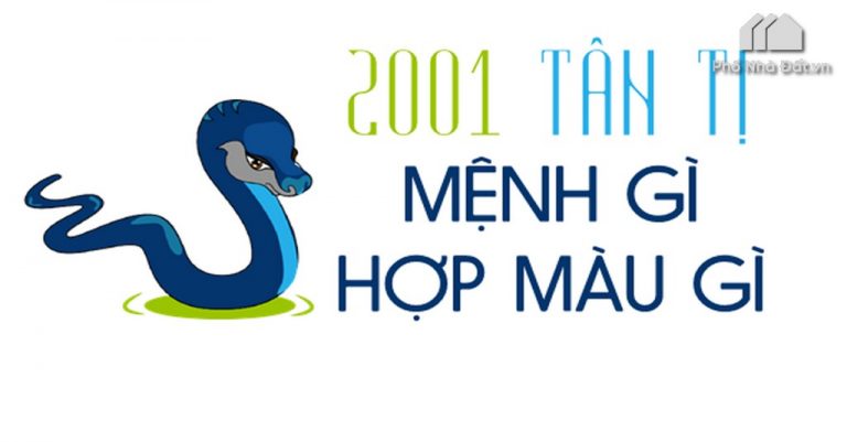 Năm 2001 tuổi con gì ? Mệnh gì ? Hợp phong thủy nhất @2020