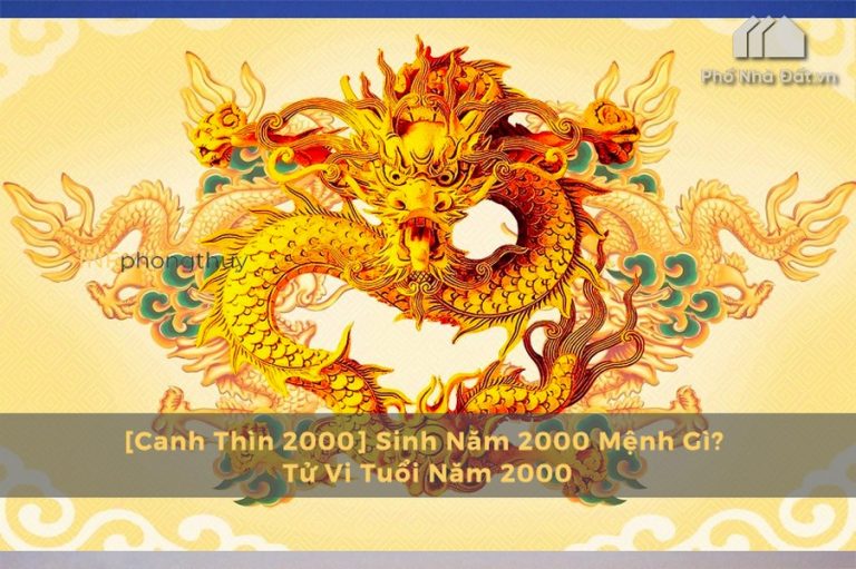 Năm 2000 tuổi con gì ? Mệnh gì ? Hợp phong thủy nhất @2020