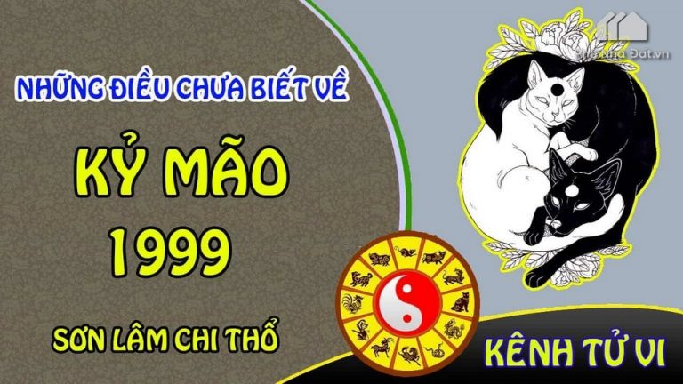 Năm 1999 mệnh gì ? Tuổi con gì ? Hợp phong thủy nhất @2020