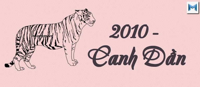 Sinh Năm 2010 tuổi con gì ? Mệnh gì ? Tử Vi Tuổi Năm 2010 @2020