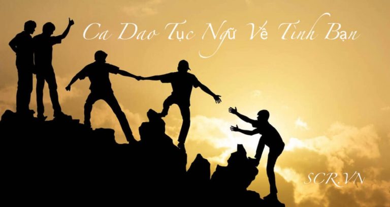 Cao dao tục ngữ về tình bạn đầy ý nghĩa sâu sắc.