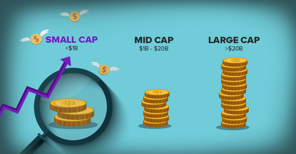 Small Cap là gì? Small Cap đem lại rủi ro hay cơ hội cho nhà đầu tư
