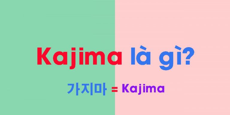 Kajima là gì? Baby Kajima có ý nghĩa là gì?